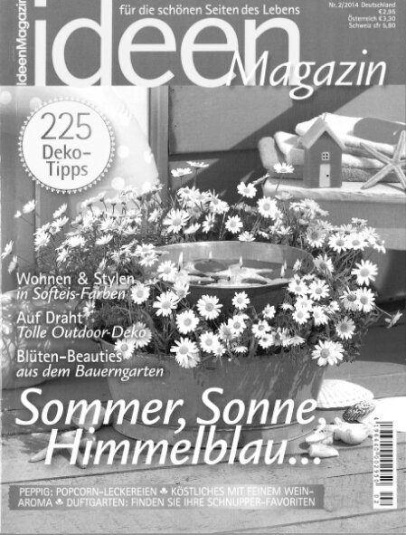 die-seifenschale.de-Lisa Liesges Ideen Magazin